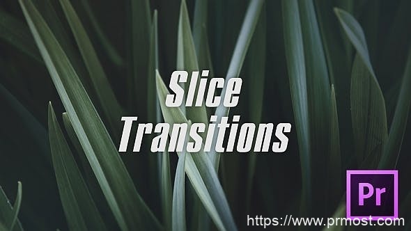 037唯美转场过渡视频Pr模版，Slice Transitions