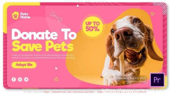 1373-宠物护理宣传促销Pr模板Adopt Me | Pet Promo