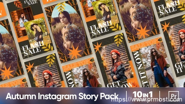 1440-Instagram秋季产品促销展示Pr模板Autumn Vibes Sale Promo | Instagram Story Pack (MOGRT)