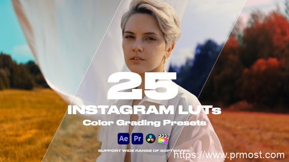 2046-Instagram电影制作颜色校正展示Pr模板Colorify Instagram LUTs