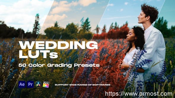 2047-为婚礼图片视频上色展示Pr模板Colorify Wedding LUTs