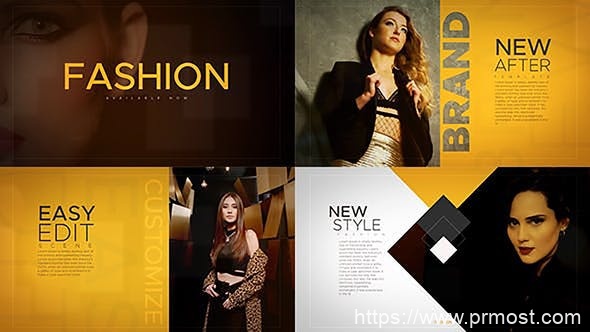2607-时尚专业人士商务图片视频展示Pr模板Fashion Pro