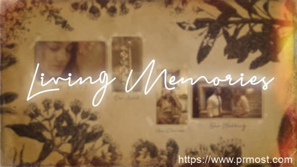 3324-活着的记忆复古图片视频展示Pr模板Living Memories