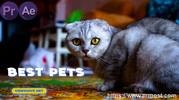 3873-宠物幻灯片视频展示Pr模板Pets Slideshow | MOGRT