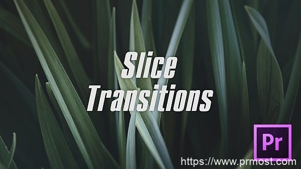 4170-幻灯片切片转场过渡Pr模板Slice Transitions