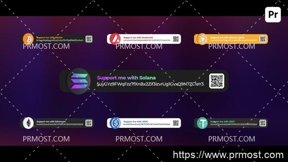 5827Premiere Pro的加密捐赠特效视频AE模版Pr模版Crypto Donations For Premiere Pro