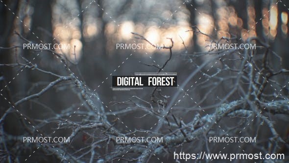 6437数字森林创意视频Pr模板Digital Forest
