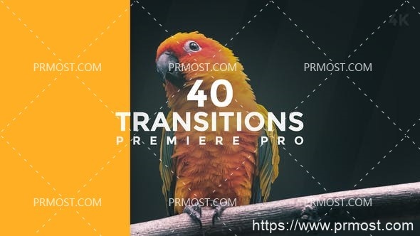 6438转场过渡特效动画Pr模板Transitions Premiere Pro