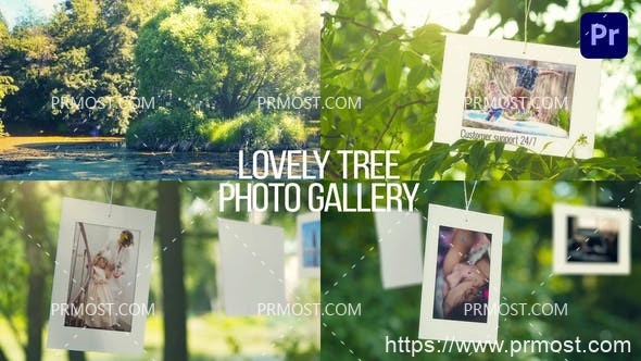 6508可爱的树照片库动画Pr模板AE模板Lovely Tree Photo Gallery